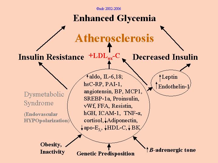 type 1 diabetes and atherosclerosis